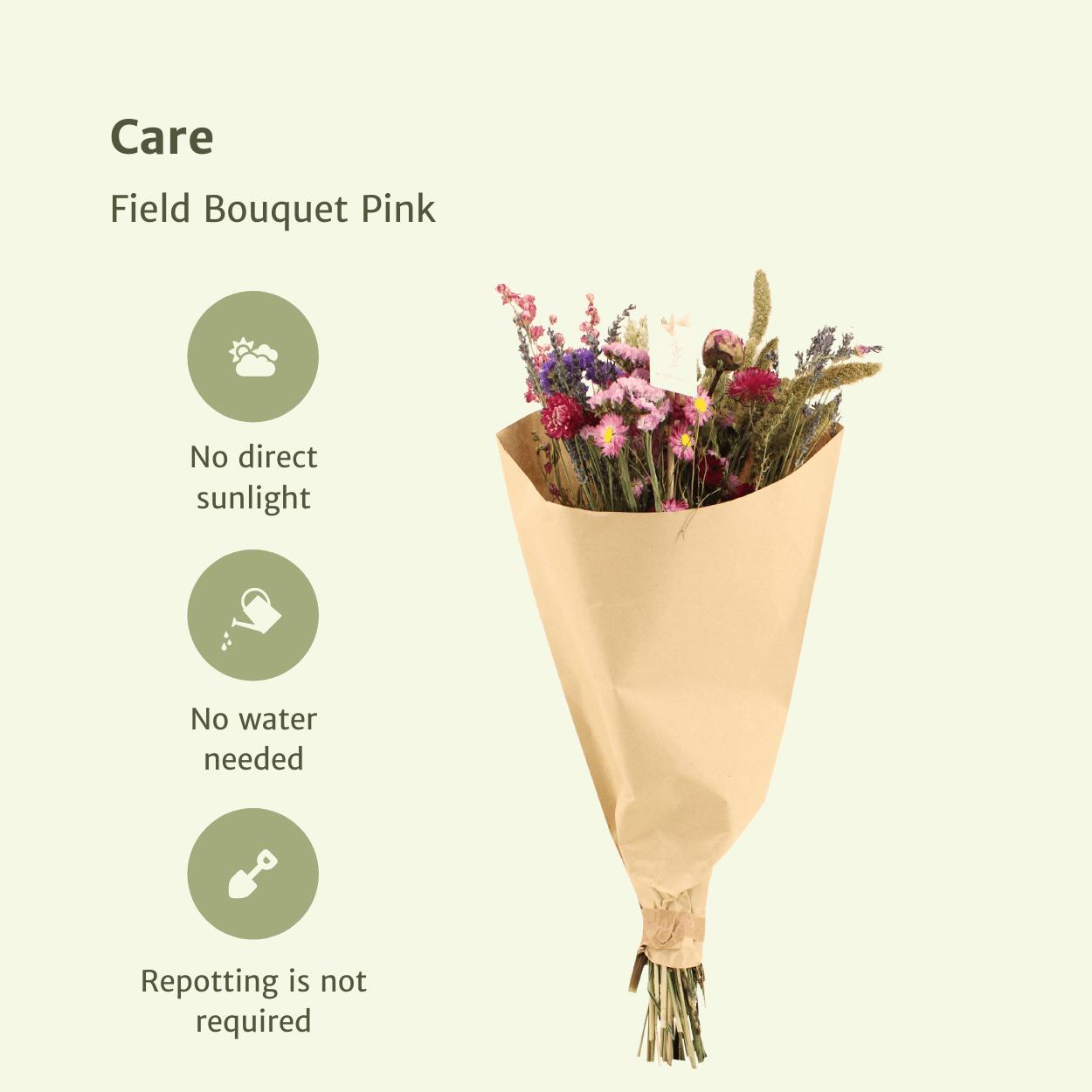 Droogbloemen Field Bouquet Pink - Ø25 - ↨60cm
