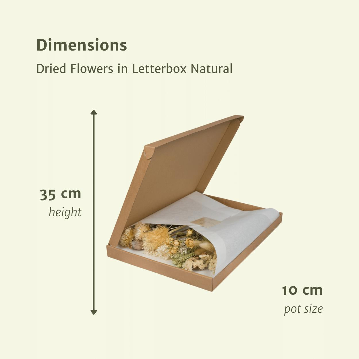 Droogbloemen in Letterbox Multi - Natural