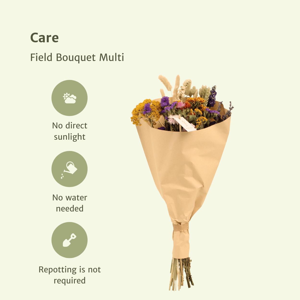 Droogbloemen Field Bouquet Multi - Ø25 - ↨60cm