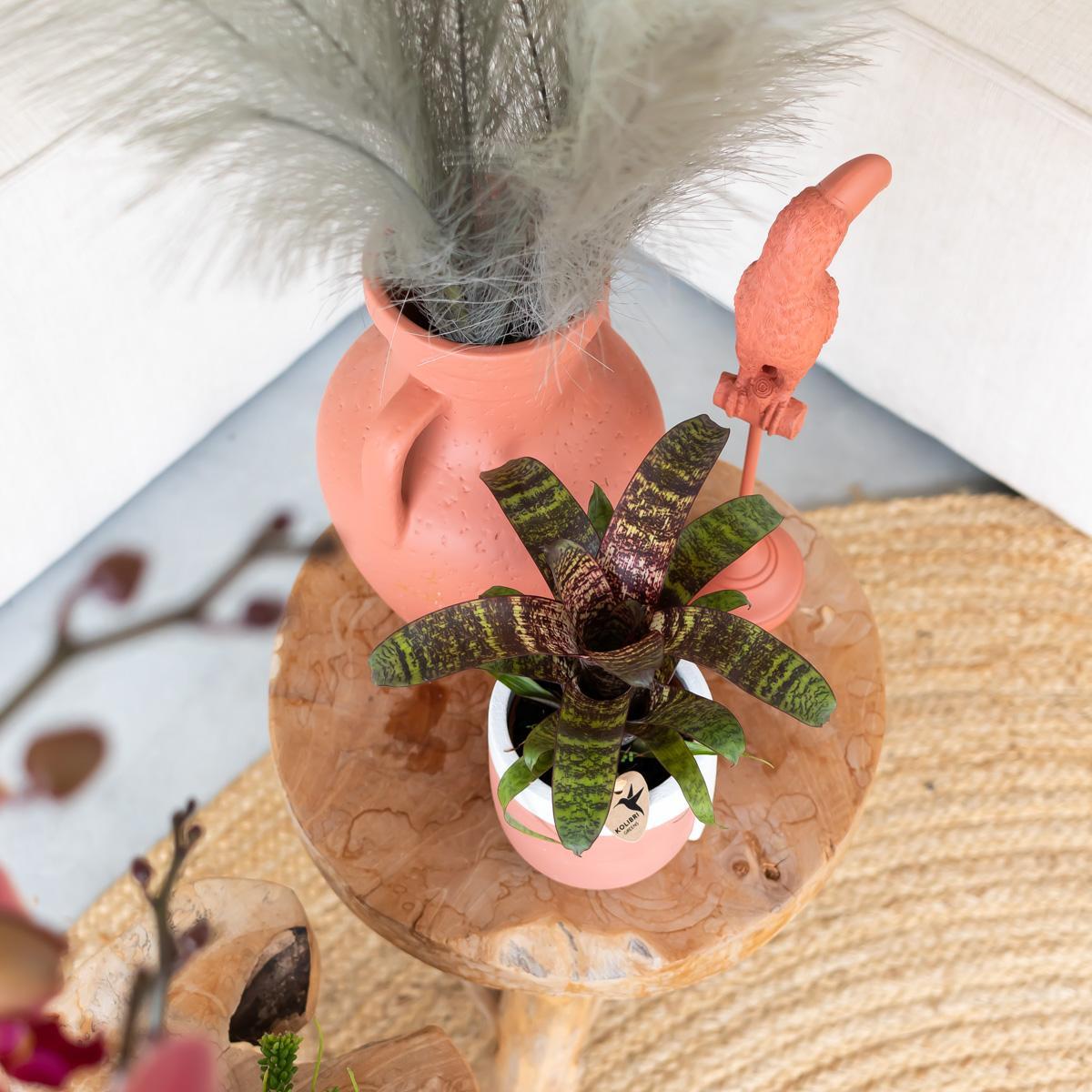 Kolibri Home | Pitcher vaas - Terracotta kleurige cementen vaas - voor droogbloemen