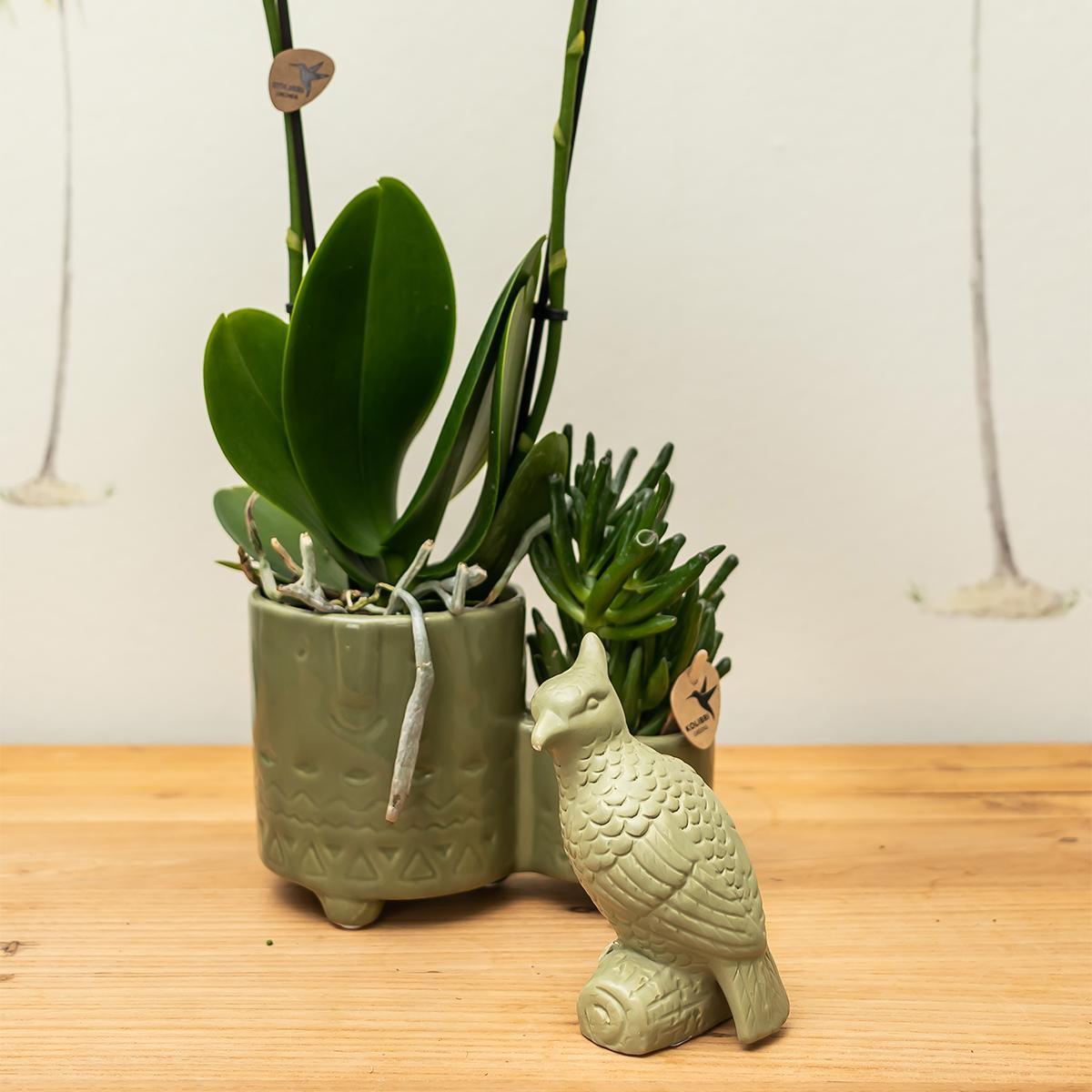 Kolibri Home | Ornament - Decoratie beeld Cockatoo - Green