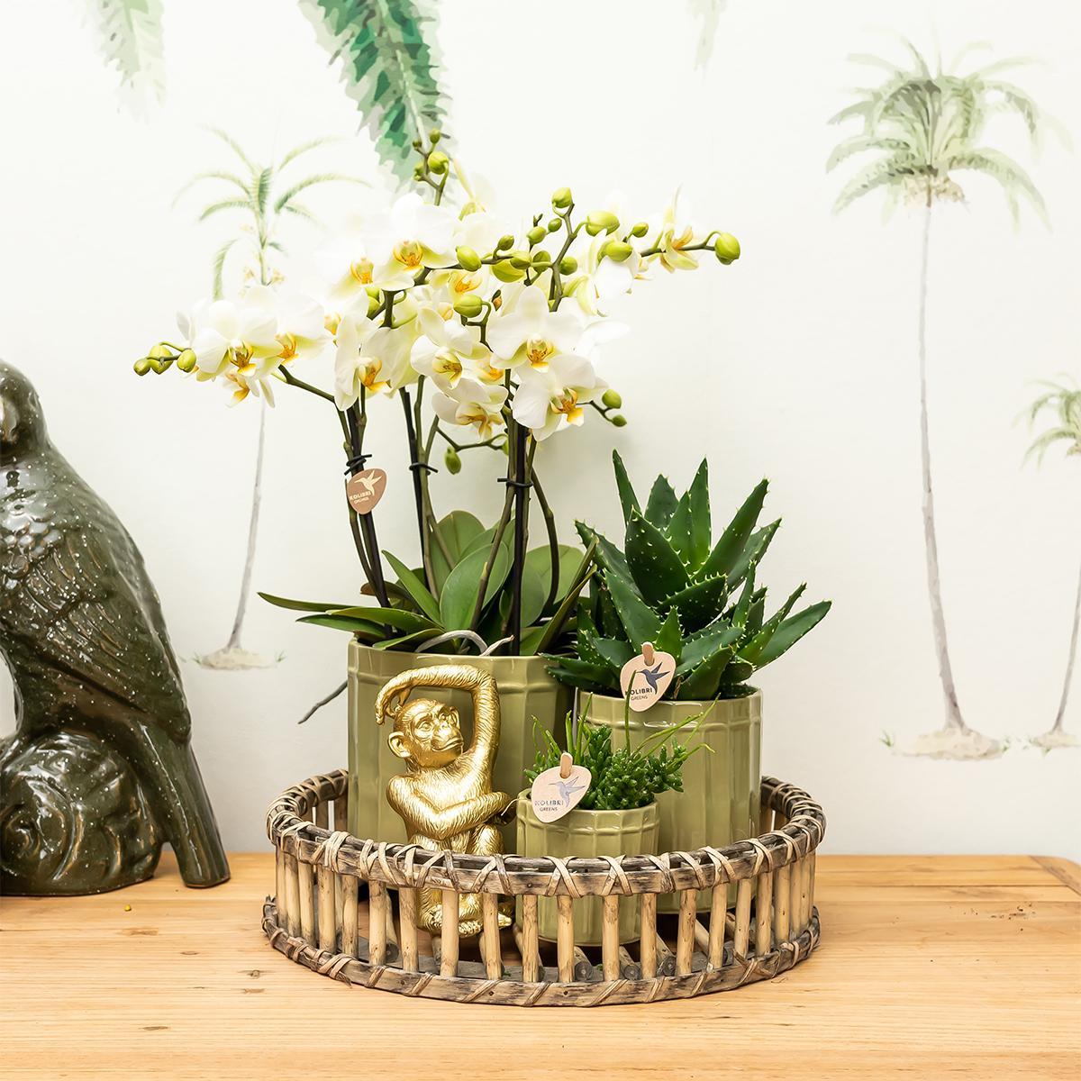 Kolibri Home | Ornament - Decoratie beeld Sitting Monkey - Gold