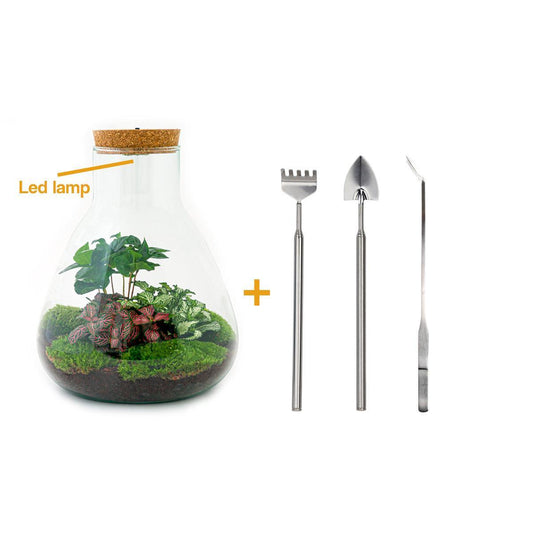 DIY terrarium - Sam Coffea met lamp - ↕ 30 cm - Rake + Shovel + Tweezer