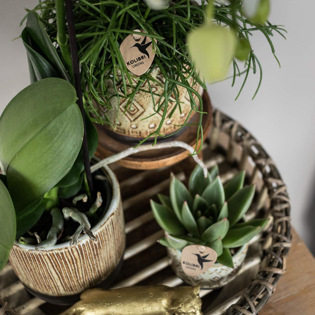 Kolibri Home | Decoratieschaal - Rond Willow dienblad Ø30cm
