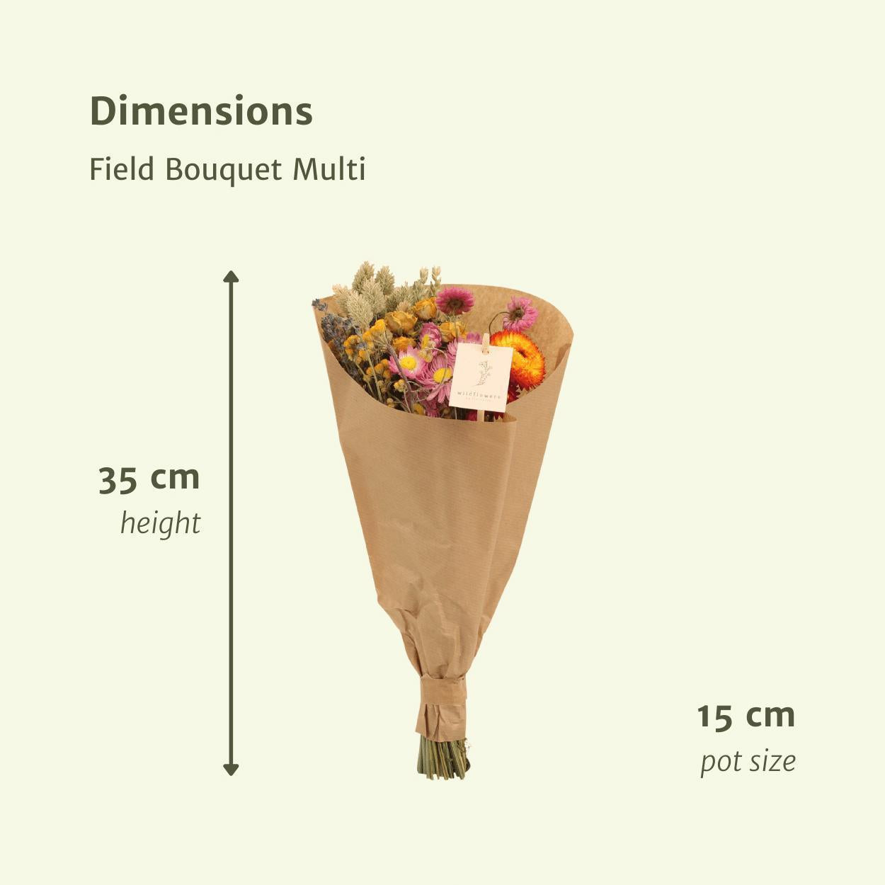 12 stuks Field Bouquet Multi - Droogboeket - 35cm - Ø15