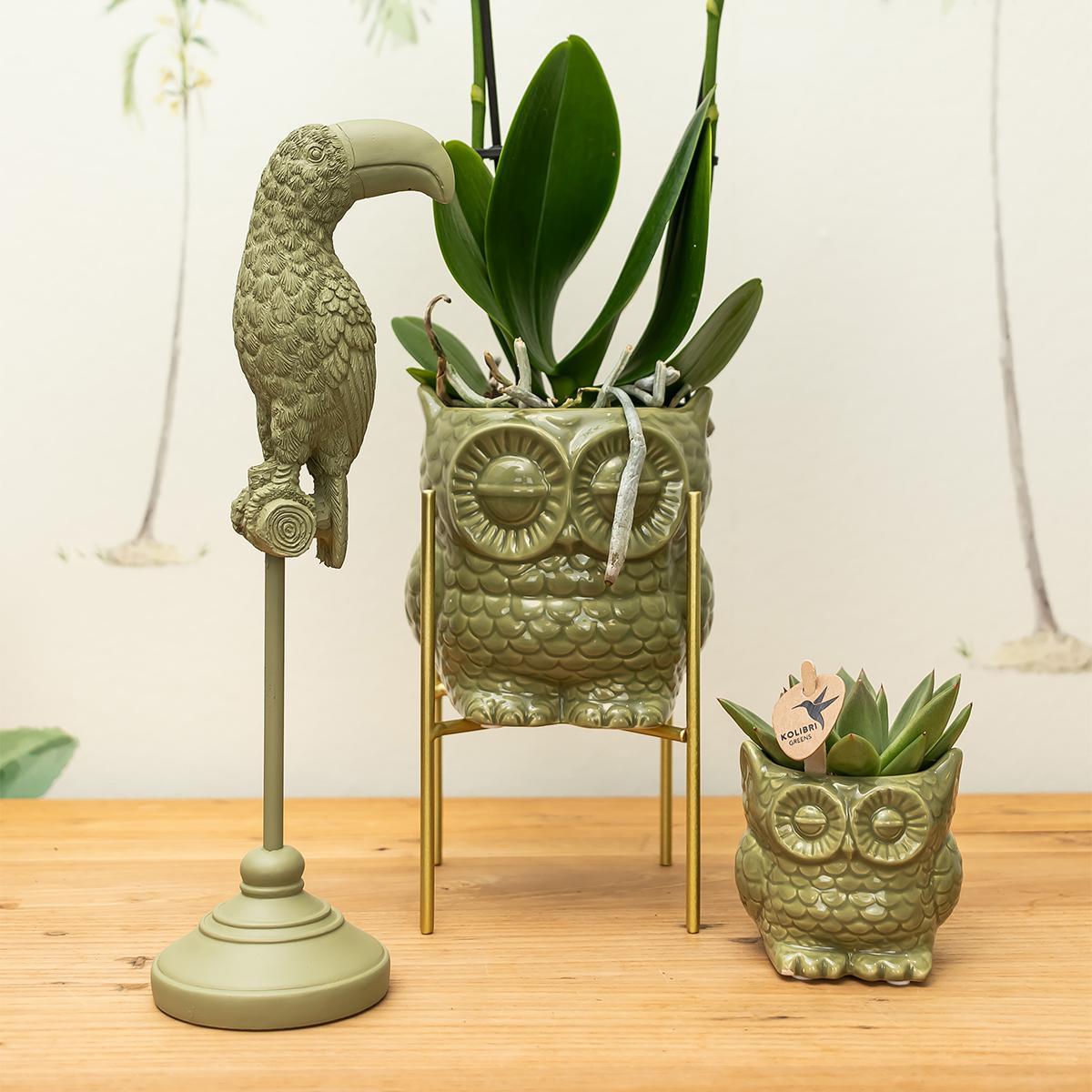 Kolibri Home | Ornament - Decoratie beeld Toucan - Green
