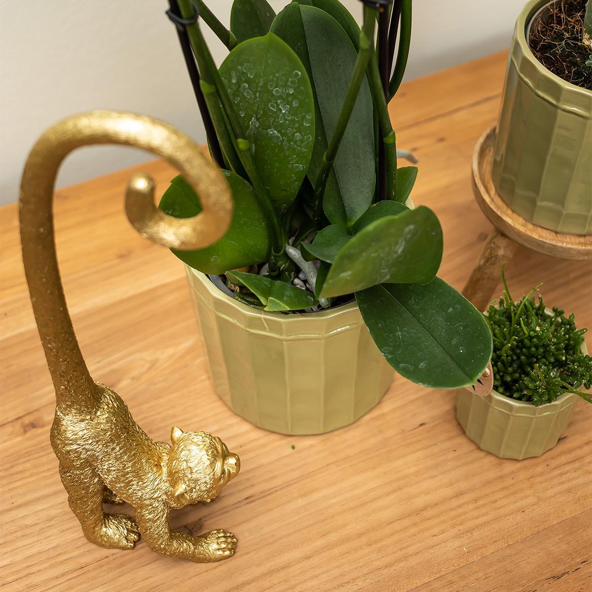 Kolibri Home | Ornament - Decoratie beeld Monkey long tail - Gold