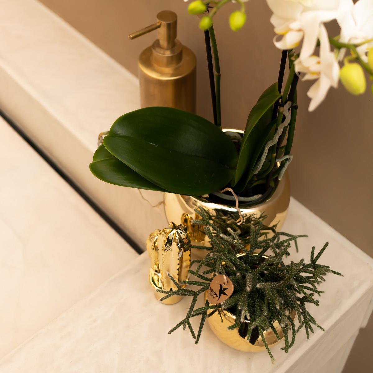 Kolibri Home | Ornament - Decoratie beeld Cactus - Gold