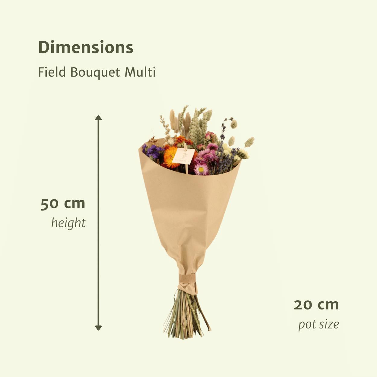 Droogbloemen Field Bouquet Multi - Ø20 - ↨50cm