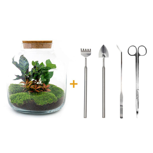 DIY terrarium - Billie Botanical - ↕ 30 cm - Rake + Shovel + Tweezer + Scissors