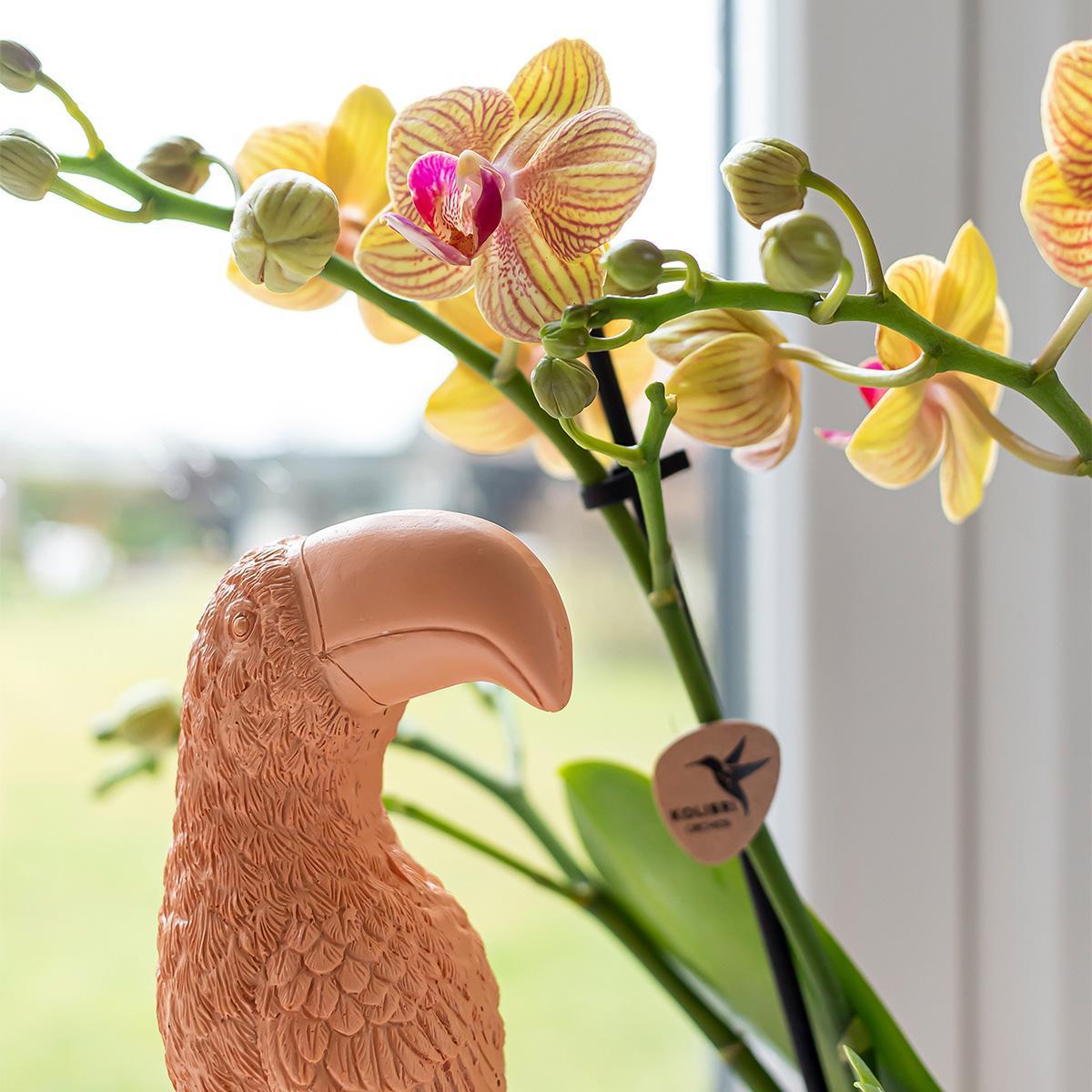 Kolibri Home | Ornament - Decoratie beeld Toucan - Peach