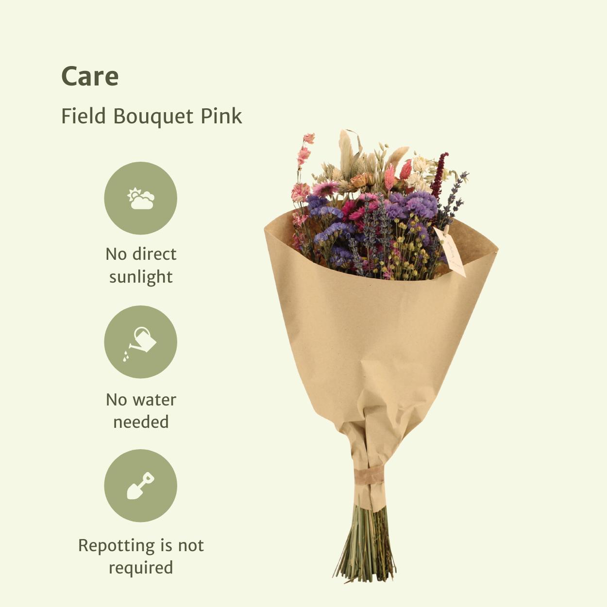 Droogbloemen Field Bouquet Pink - Ø20 - ↨50cm