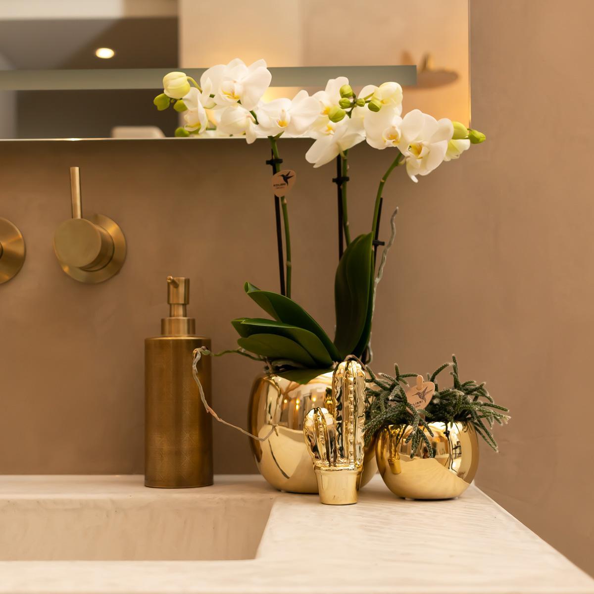 Kolibri Home | Ornament - Decoratie beeld Cactus - Gold