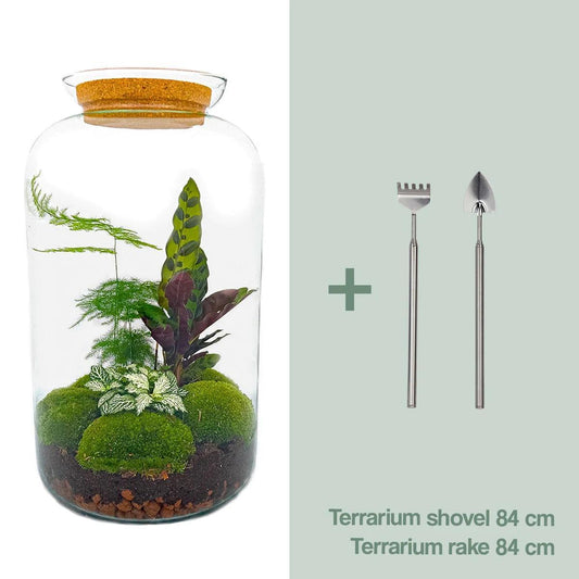 DIY terrarium - Botanical Sven XL - ↕ 43 cm - Rake + Shovel