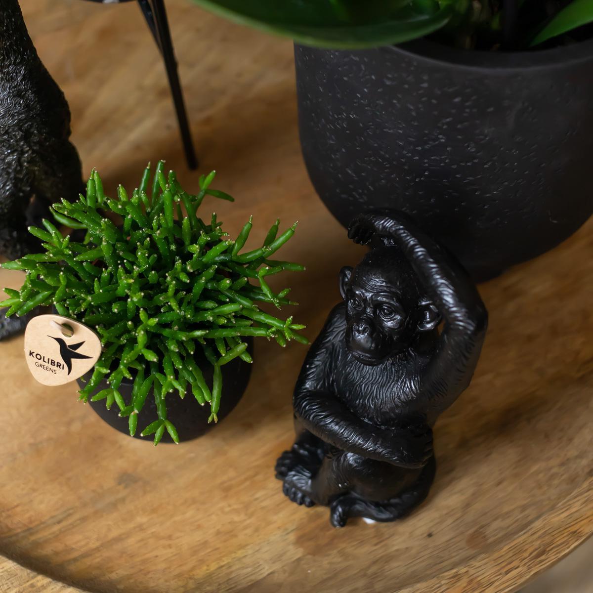 Kolibri Home | Ornament - Decoratie beeld Sitting Monkey - Black