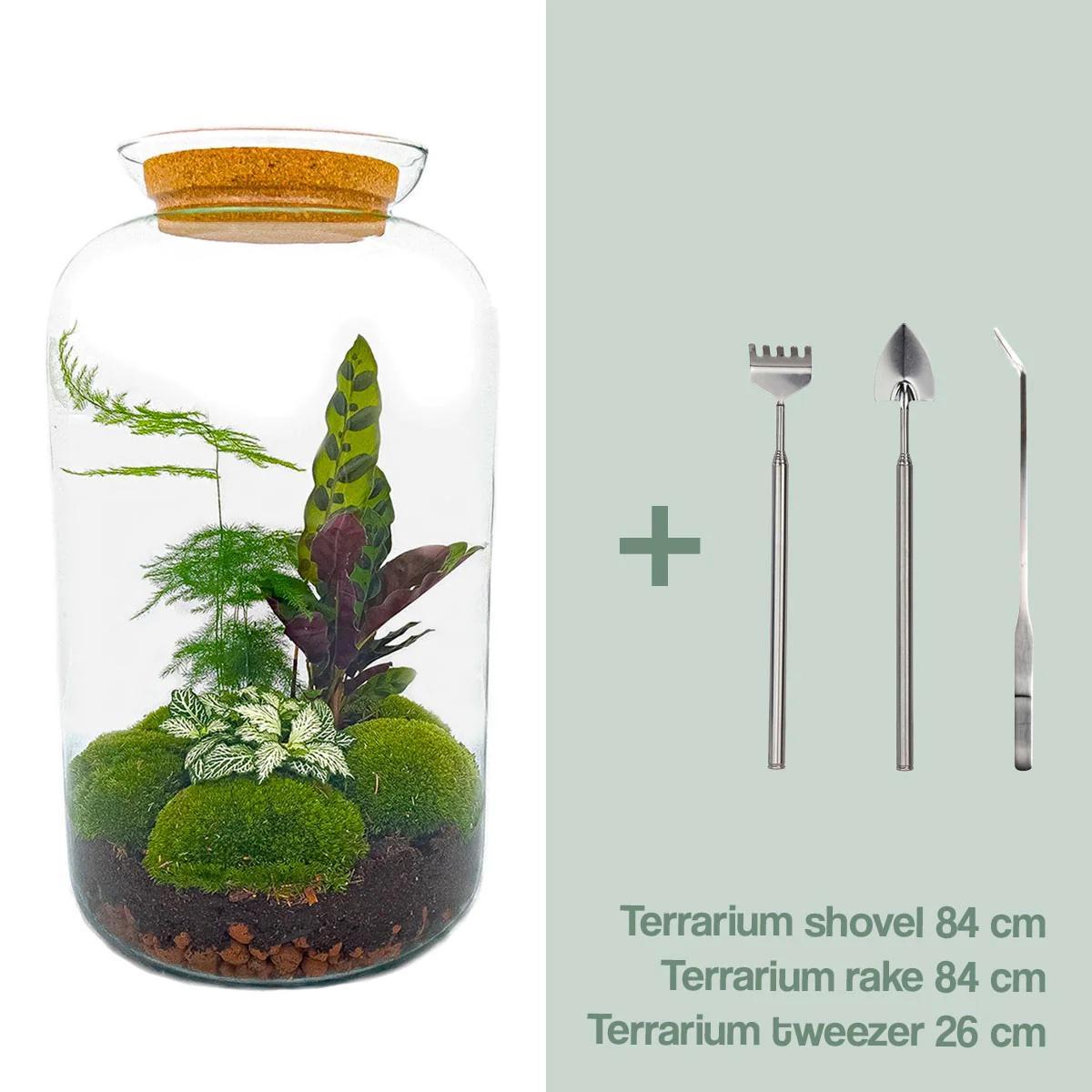 DIY terrarium - Botanical Sven XL - ↕ 43 cm - Rake + Shovel + Tweezer