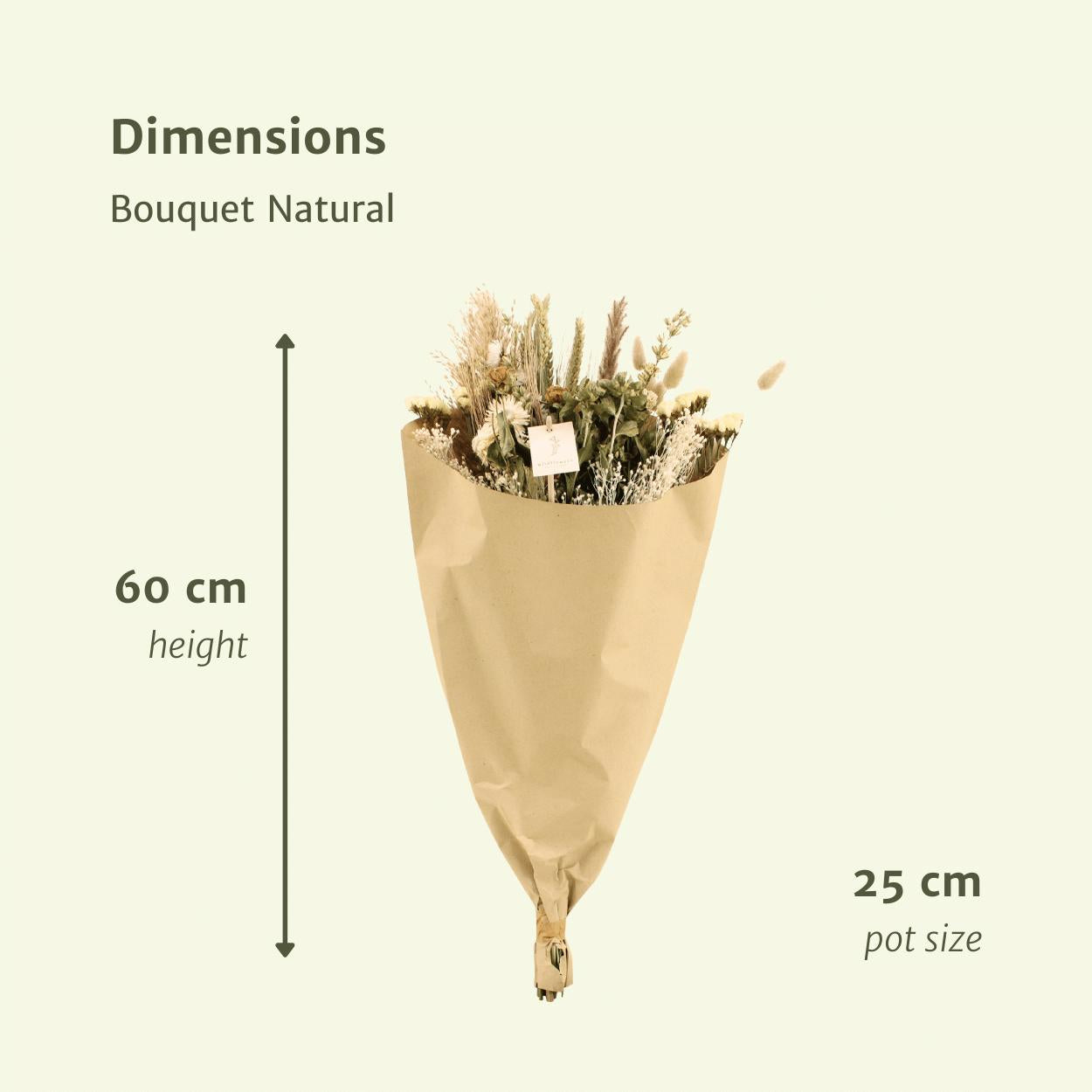 Droogbloemen Field Bouquet Natural - Ø25 - ↨60cm
