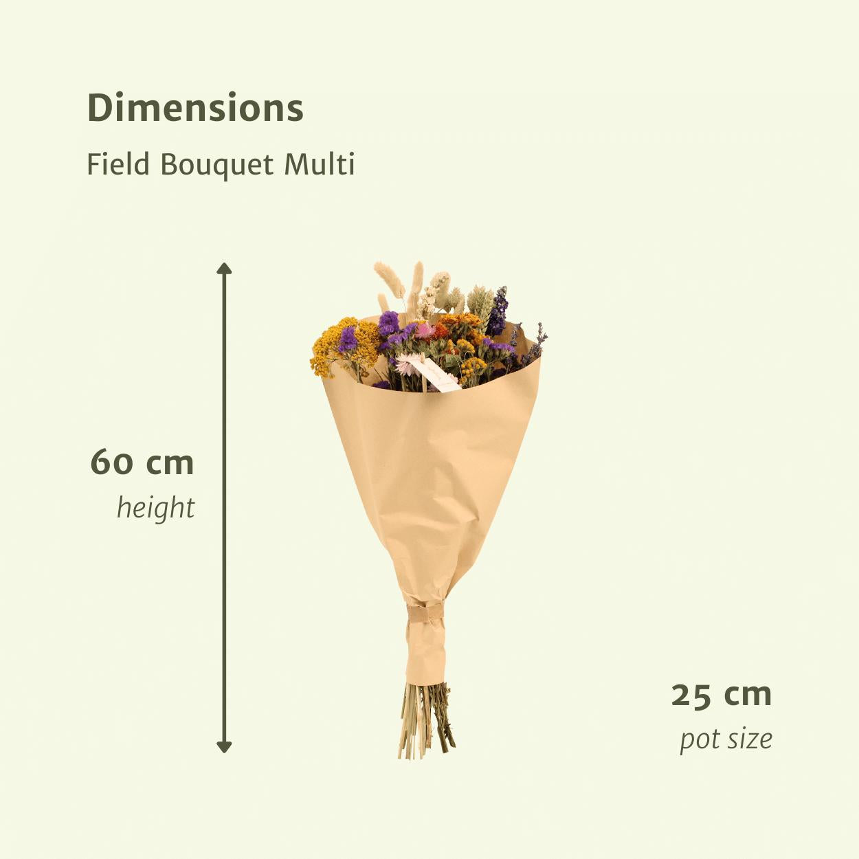 Droogbloemen Field Bouquet Multi - Ø25 - ↨60cm