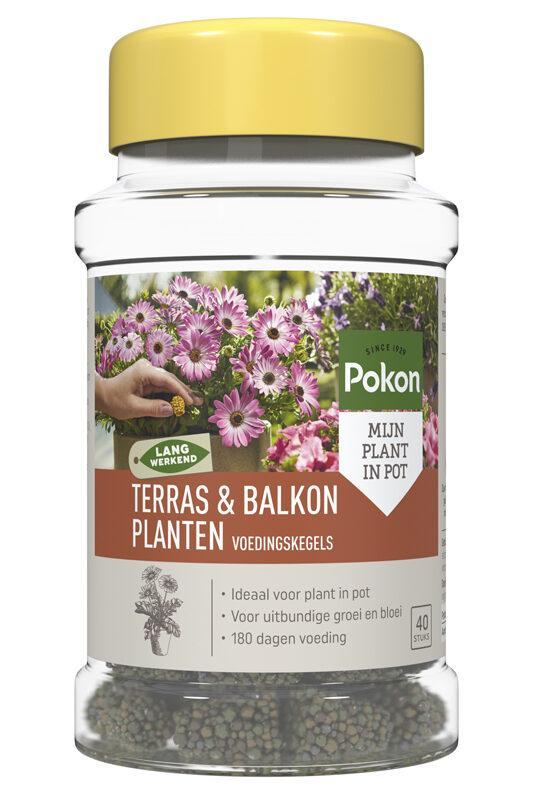 Terras&Balkon Planten Voedingskegels - 40x