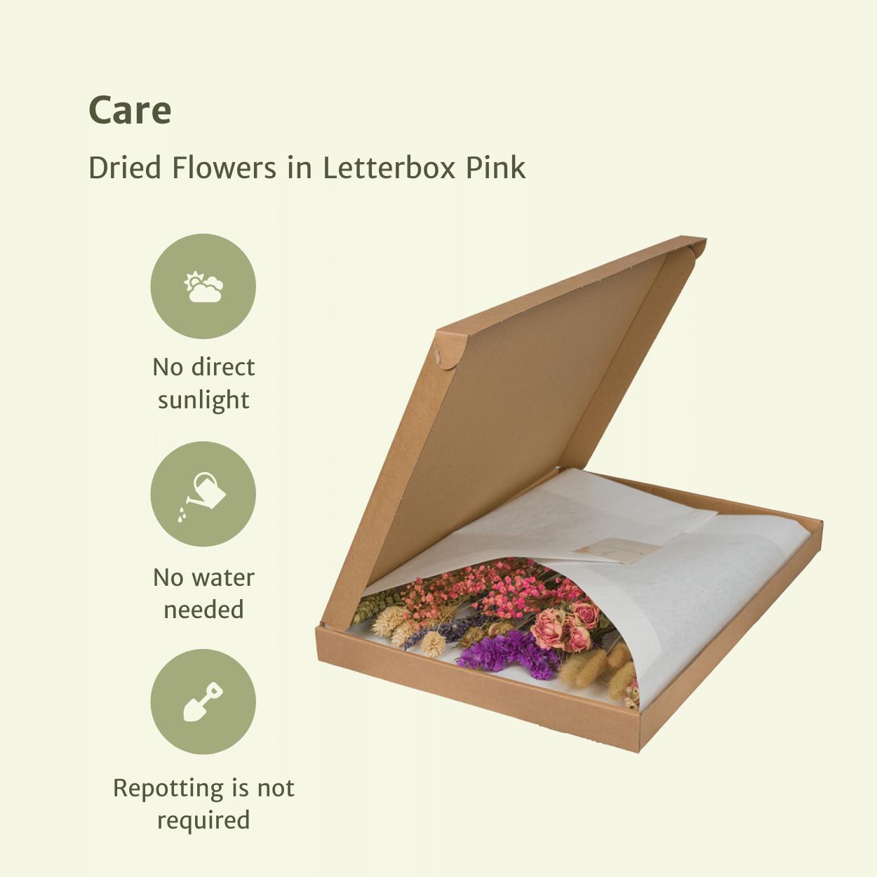 Droogbloemen in Letterbox Multi - Pink